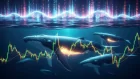 Crypto Digest: Solana ETFs, DePIN Trend & Bitcoin Whale Moves